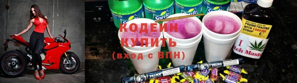 бошки Туринск