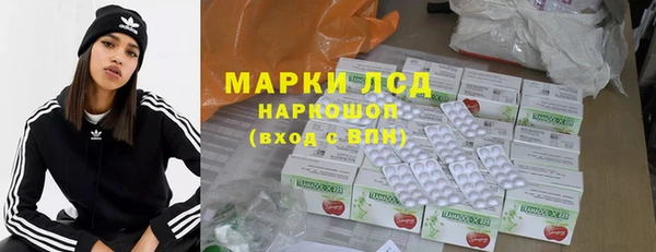 стаф Тында