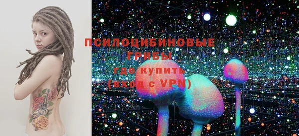 СК Усмань