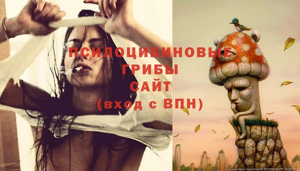 СК Усмань