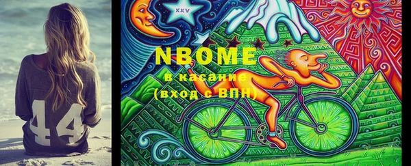 бошки Туринск
