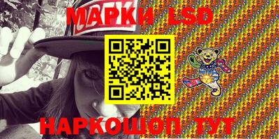 стафф Гатчина