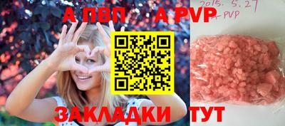 стафф Гатчина