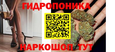 стафф Гатчина