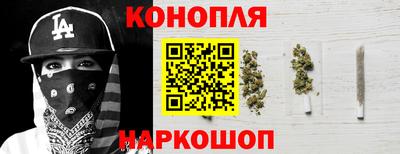 стафф Гатчина