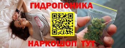 стафф Гатчина