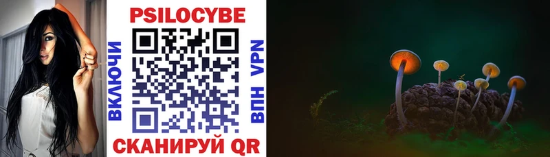 что такое   Оренбург  KRAKEN tor  Галлюциногенные грибы Psilocybine cubensis 