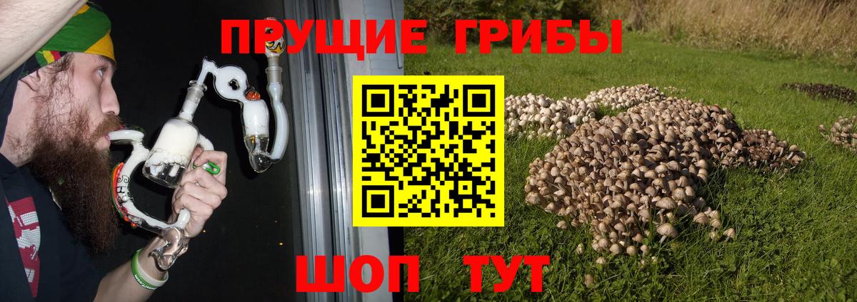 Галлюциногенные грибы прущие грибы  где купить наркоту  Галлюциногенные грибы GOLDEN TEACHER  Оренбург  Вход с VPN 